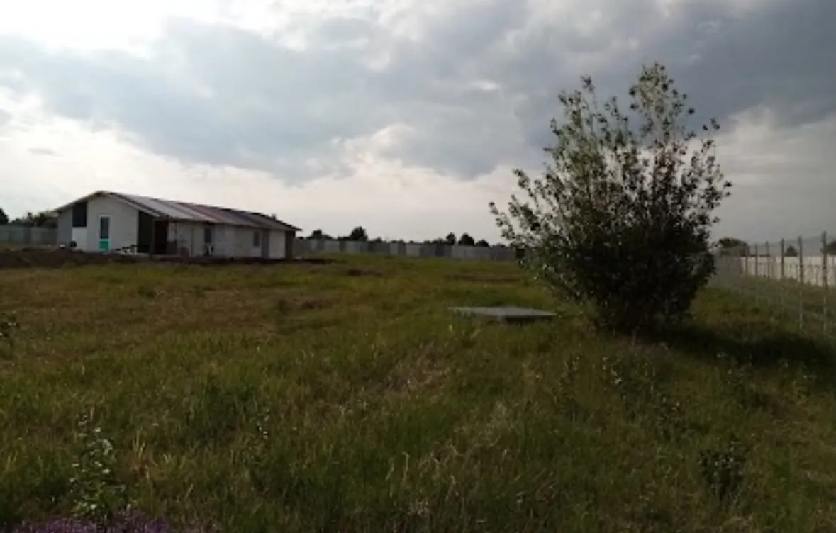 The plot in the early days: one building far off across a green field.