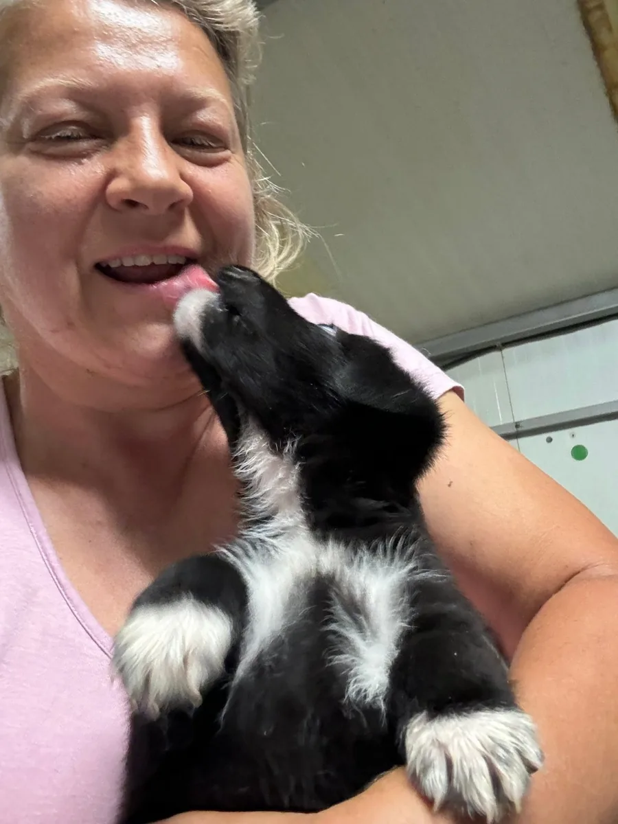 Mirela laughing while a black and white puppy licks her face.